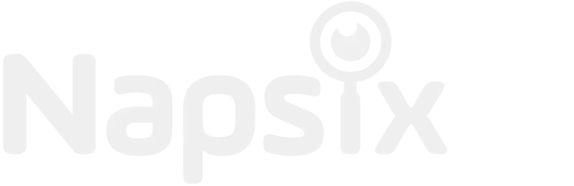 Logo Napsix